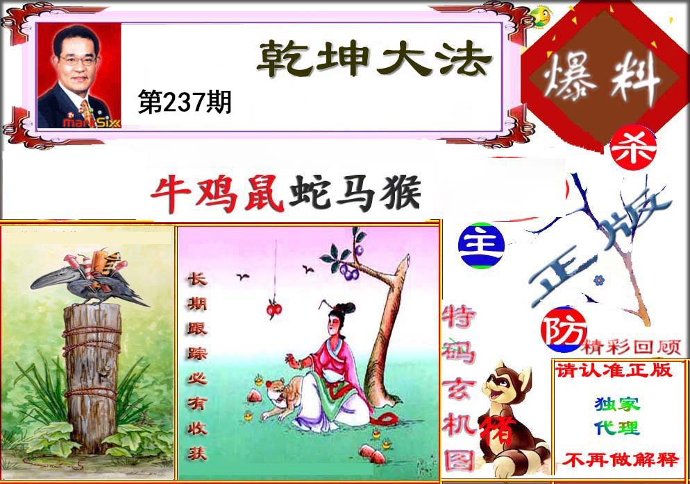王中王论坛